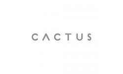 Cactus Brush